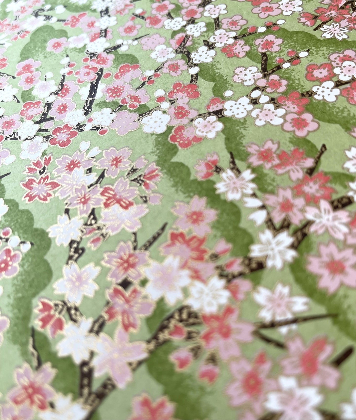 Yuzen Washi Tool Box (Shallow) Plum and Cherry Blossom Design, Light Green